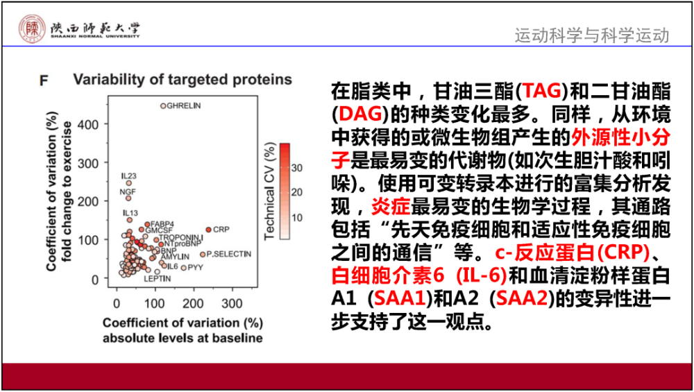 2024新澳门精准资料免费提供下载,最新解答解释落实_9DM37.58