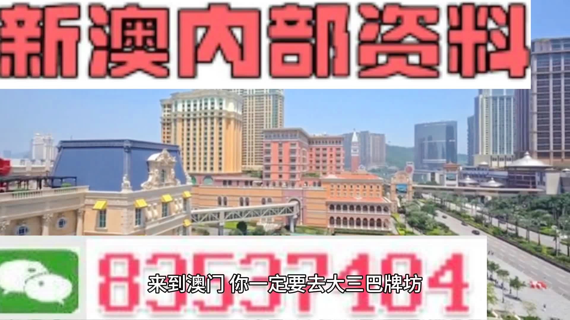 2024年新澳门王中王资料,人才解答解释落实_活动版16.13.11